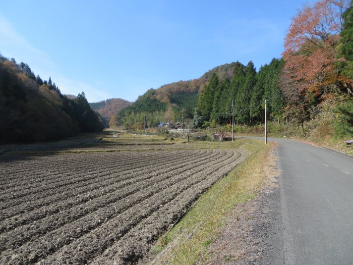 篠山市藤坂/弓谷峠～桑原/箱部峠を散策