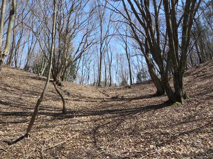 篠山市上筱見/筱見四十八滝～八ヶ尾山～小原/弁天池の峠を散策