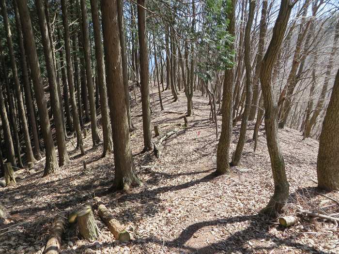 篠山市上筱見/筱見四十八滝～八ヶ尾山～小原/弁天池の峠を散策