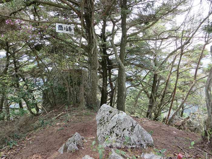 篠山市上筱見/筱見四十八滝～八ヶ尾山～篠山市東本荘/洞光寺を散策