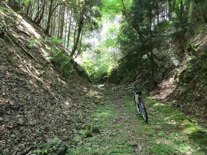 篠山市藤坂/板坂峠～船井郡京丹波町八田/西山を散策