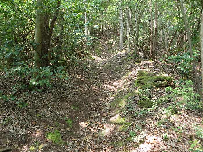 篠山市藤坂/板坂峠～船井郡京丹波町八田/西山を散策