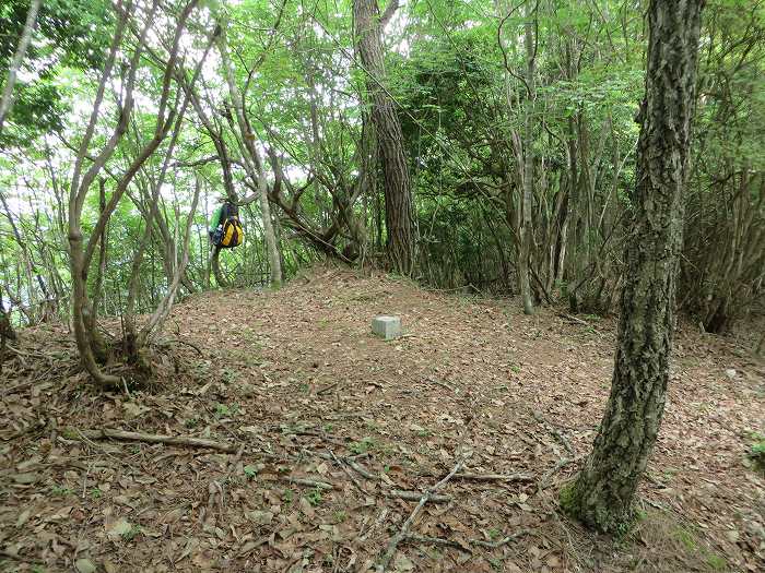 篠山市藤坂/板坂峠～船井郡京丹波町八田/西山を散策