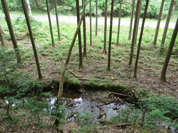 篠山市藤坂/板坂峠～船井郡京丹波町八田/西山を散策