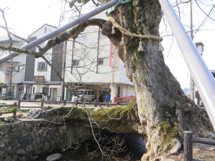 輪行にて丹波市柏原町を散策