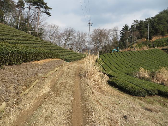 篠山市曽地奥/県道308号線～三国ヶ岳を散策