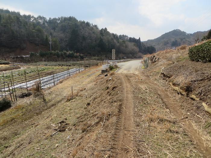 篠山市曽地奥/県道308号線～三国ヶ岳を散策