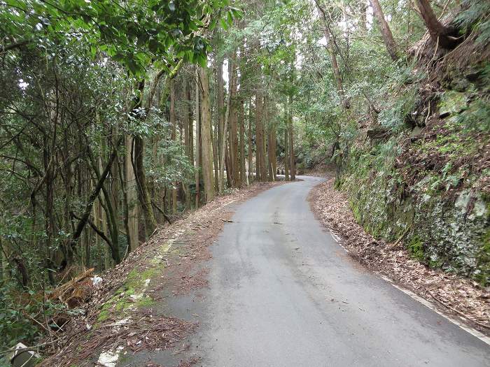 篠山市西野々/天引峠～南丹市園部町船阪/中山峠～篠山市奥山/奥山峠を散策