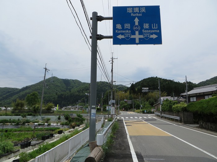 篠山市曽地口/ナンジャモンジャの木～奥原山/原山峠を散策