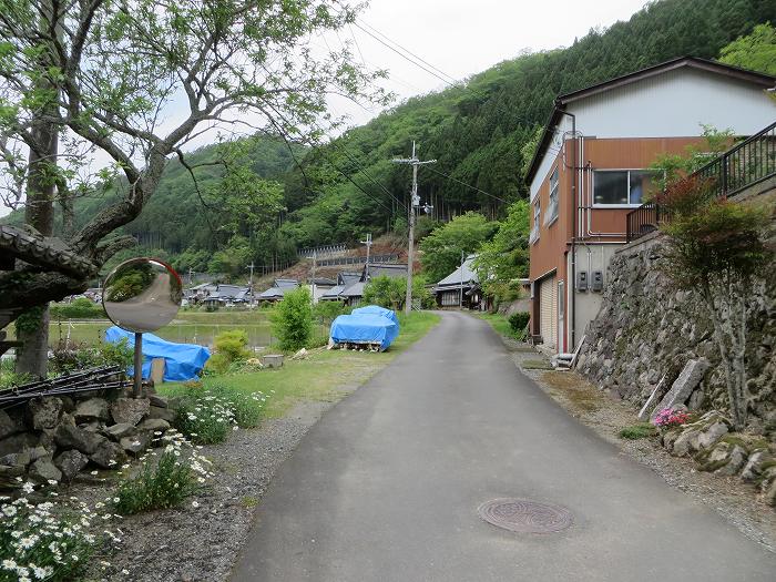 篠山市曽地口/ナンジャモンジャの木～奥原山/原山峠を散策