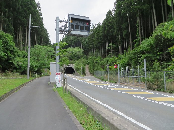 篠山市曽地口/ナンジャモンジャの木～奥原山/原山峠を散策