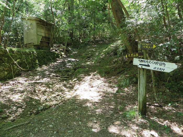 川辺郡猪名川町/大野山～篠山市後川上/古坂峠旧道を散策