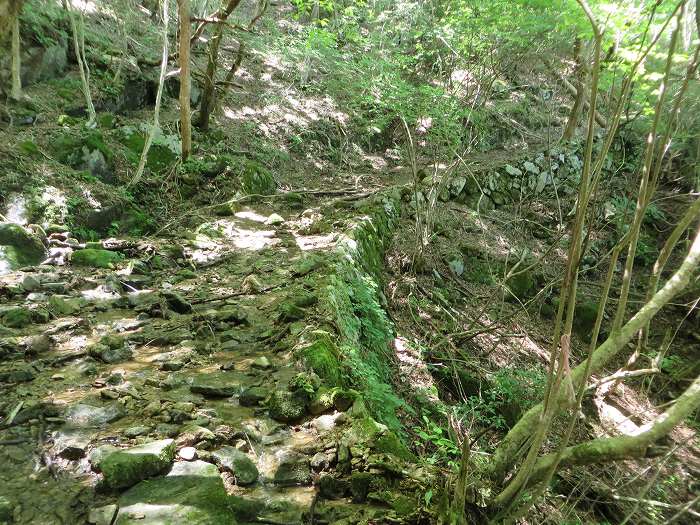 川辺郡猪名川町/大野山～篠山市後川上/古坂峠旧道を散策