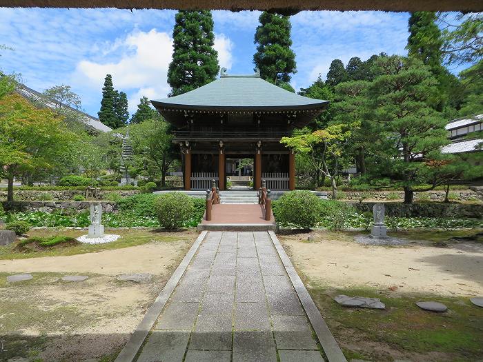 川辺郡猪名川町/大野山～篠山市後川上/古坂峠旧道を散策