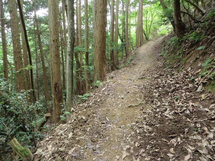 丹波市春日町黒井/黒井城址を散策