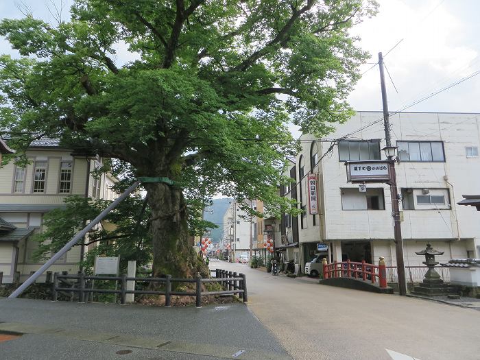 丹波市春日町黒井/黒井城址を散策