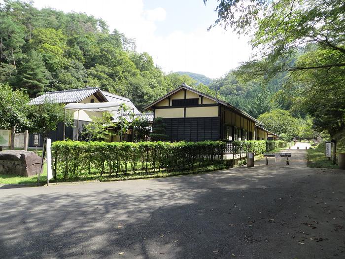 南丹市園部町天引/満燈山～舩谷山～深山を散策