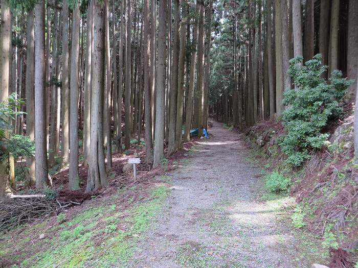 南丹市園部町天引/満燈山～舩谷山～深山を散策