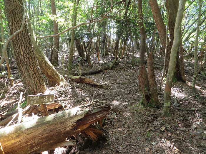 南丹市園部町天引/満燈山～舩谷山～深山を散策