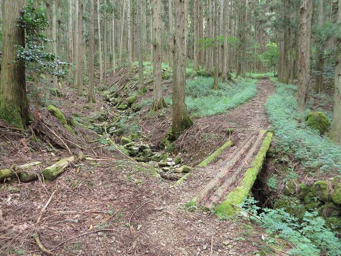 南丹市園部町天引/満燈山～舩谷山～深山を散策