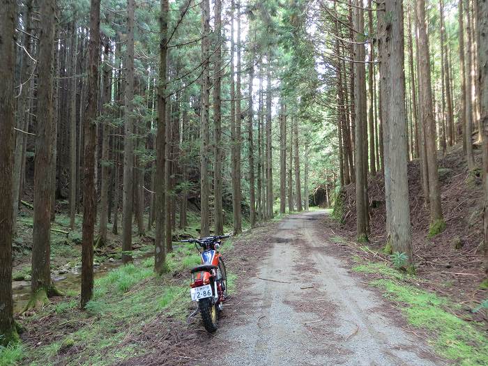 多可郡多可町加美区/千ヶ峰を散策