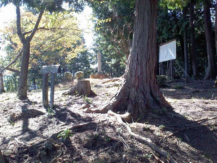 船井郡京丹波町須知/導観稲荷神社～口八田/中畑城跡を散策