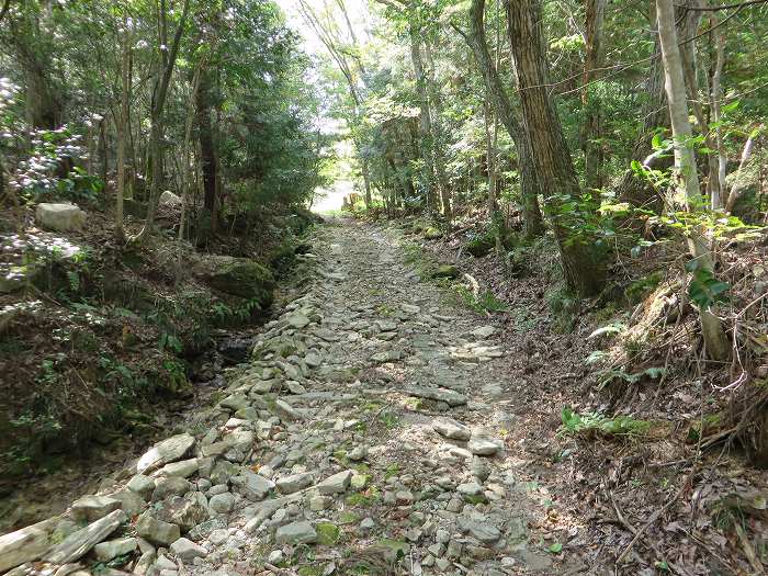 篠山市今田町市原/丹波坂・只越峠～今田町黒石/大峠を散策