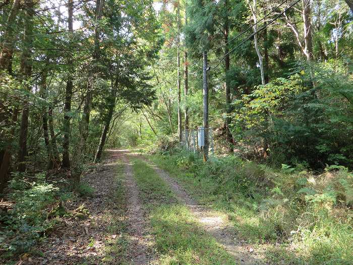 篠山市今田町市原/丹波坂・只越峠～今田町黒石/大峠を散策