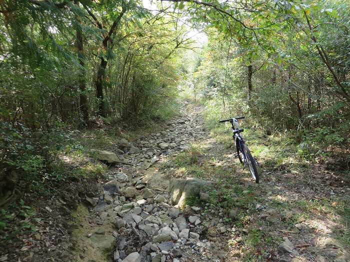 篠山市今田町市原/丹波坂・只越峠～今田町黒石/大峠を散策