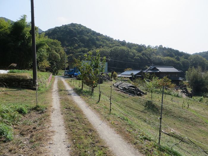 篠山市今田町市原/丹波坂・只越峠～今田町黒石/大峠を散策