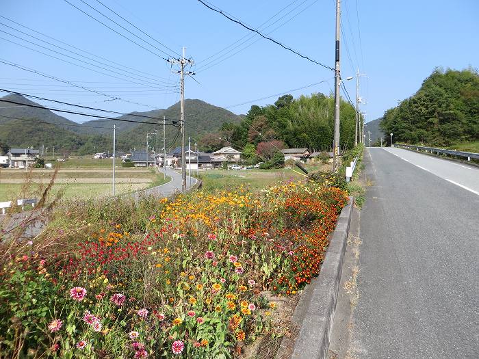 篠山市今田町市原/丹波坂・只越峠～今田町黒石/大峠を散策