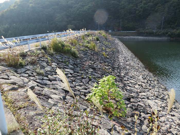 篠山市今田町市原/丹波坂・只越峠～今田町黒石/大峠を散策