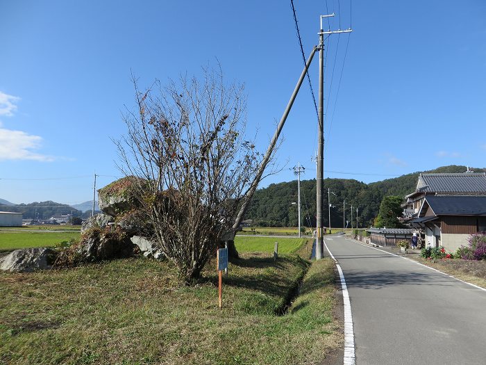 篠山市藤岡奥/五台山～知足/西ヶ嶽を散策