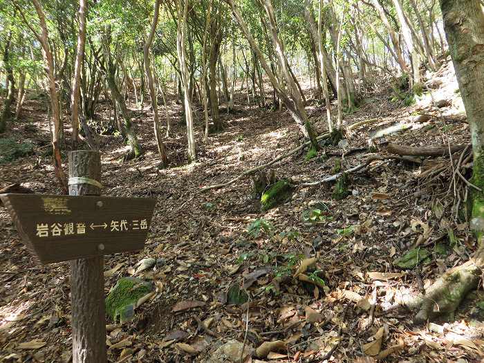 篠山市藤岡奥/五台山～知足/西ヶ嶽を散策