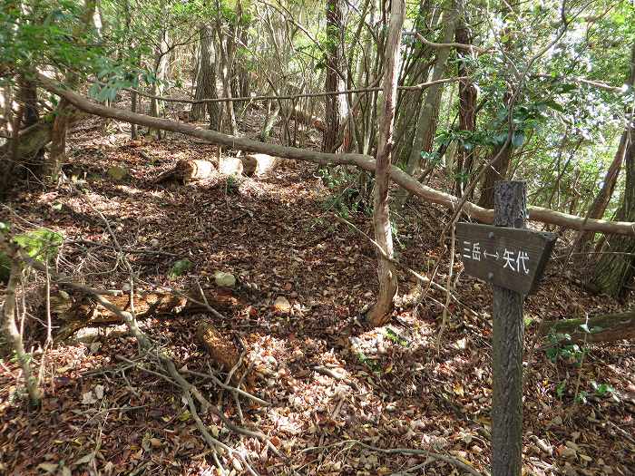 篠山市藤岡奥/五台山～知足/西ヶ嶽を散策