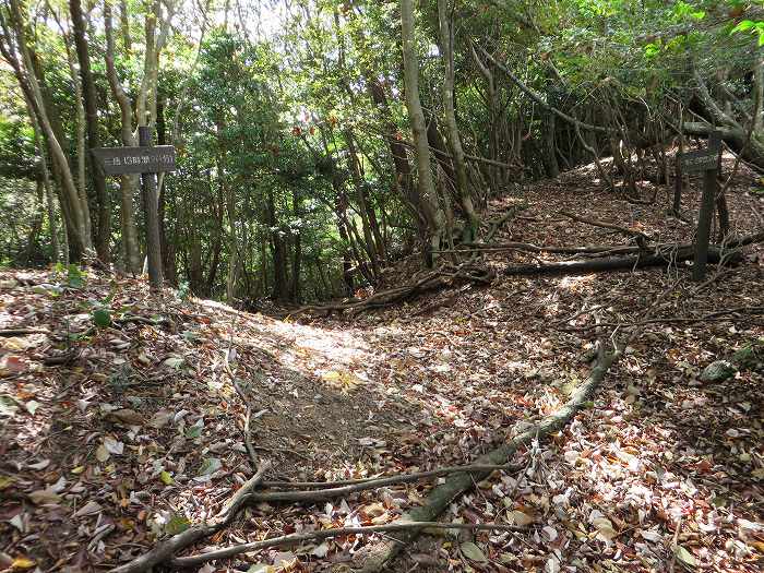 篠山市藤岡奥/五台山～知足/西ヶ嶽を散策