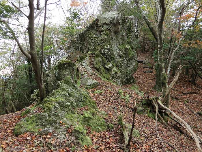 篠山市藤岡奥/五台山～知足/西ヶ嶽を散策