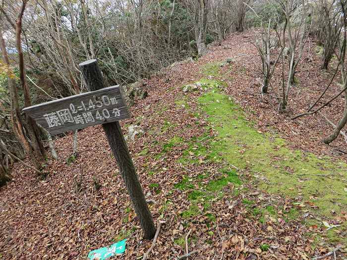 篠山市藤岡奥/五台山～知足/西ヶ嶽を散策