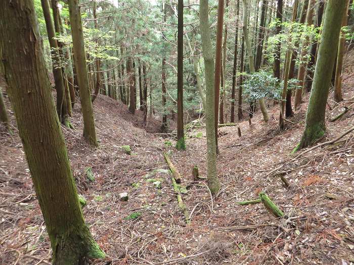 篠山市藤岡奥/五台山～知足/西ヶ嶽を散策