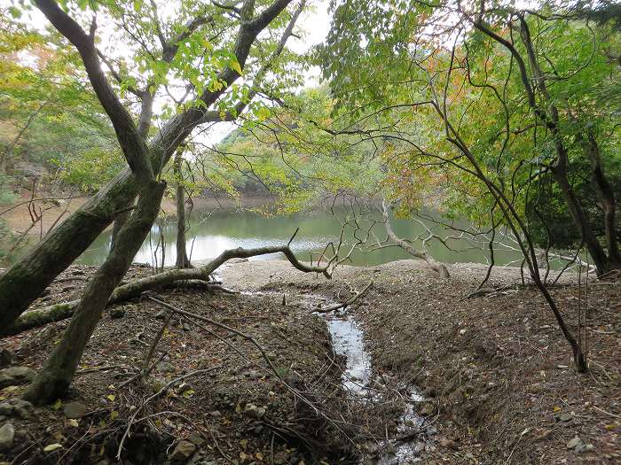 篠山市藤岡奥/五台山～知足/西ヶ嶽を散策