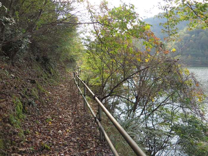 篠山市藤岡奥/五台山～知足/西ヶ嶽を散策