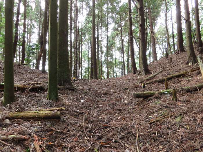 篠山市大山/古坂峠～高畑山～助兵衛坂～荒子新田/天内坂を散策