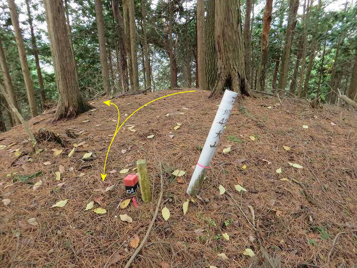 篠山市大山/古坂峠～高畑山～助兵衛坂～荒子新田/天内坂を散策