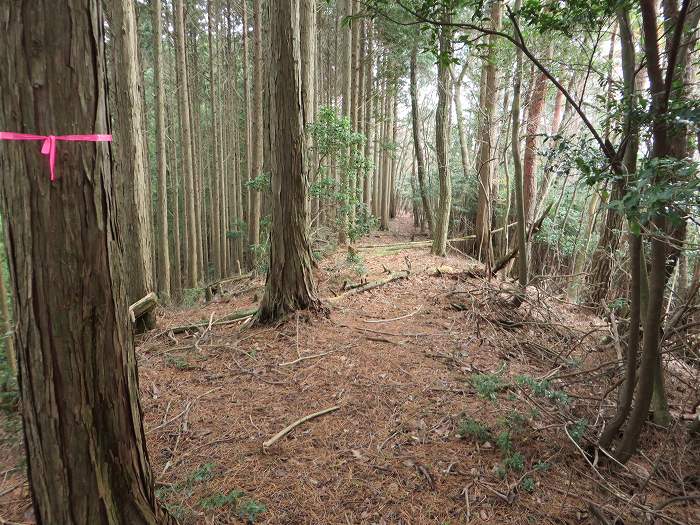 篠山市大山/古坂峠～高畑山～助兵衛坂～荒子新田/天内坂を散策