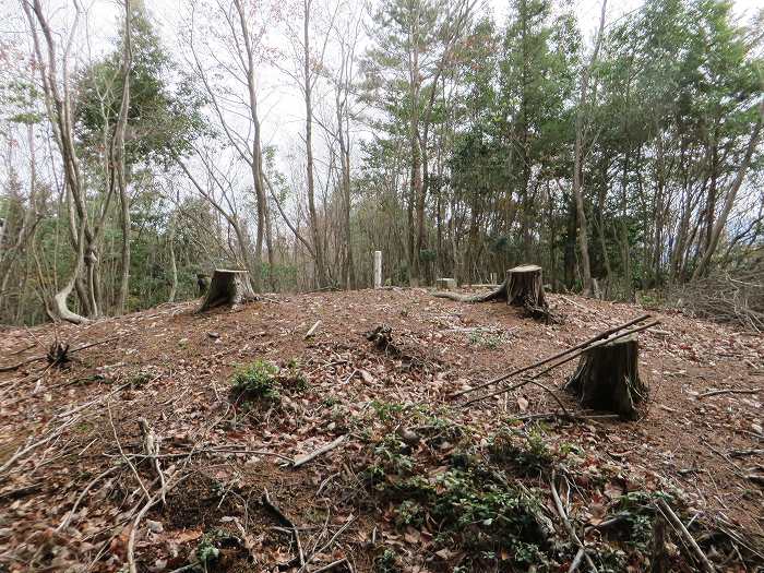 篠山市大山/古坂峠～高畑山～助兵衛坂～荒子新田/天内坂を散策