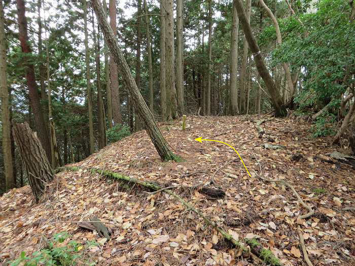 篠山市大山/古坂峠～高畑山～助兵衛坂～荒子新田/天内坂を散策