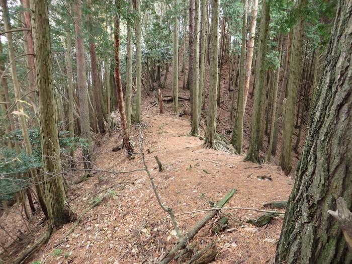 篠山市大山/古坂峠～高畑山～助兵衛坂～荒子新田/天内坂を散策