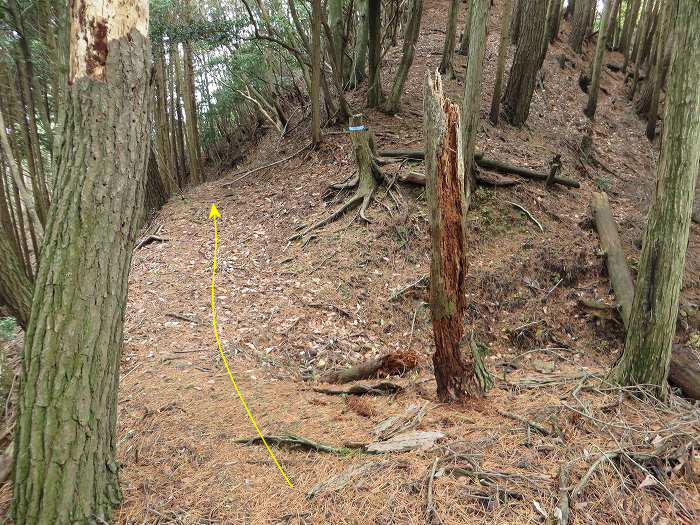 篠山市大山/古坂峠～高畑山～助兵衛坂～荒子新田/天内坂を散策