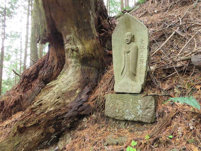 篠山市大山/古坂峠～高畑山～助兵衛坂～荒子新田/天内坂を散策