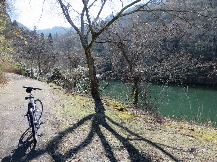 篠山市後川新田/丈山～辻/北中山～シドロ北峰～飛曽山を散策